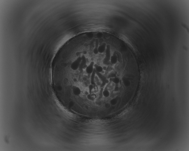 X0000101451079200807141238