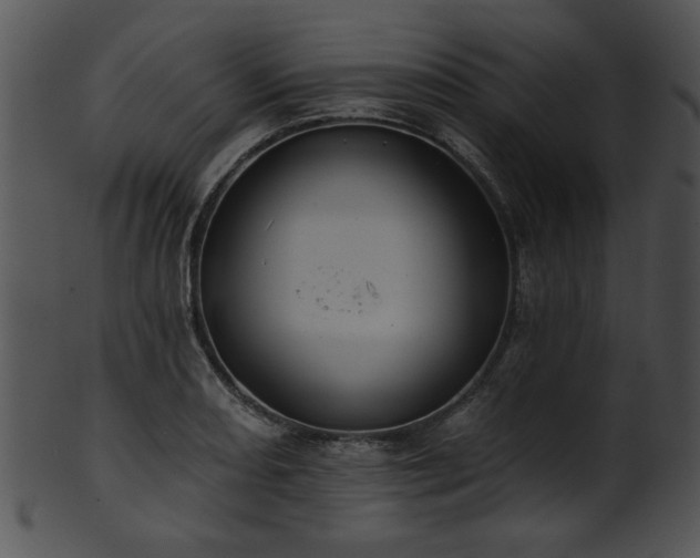 X0000101451082200807141238