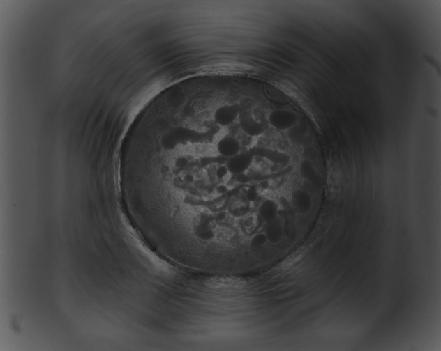 X0000101451083200807141238