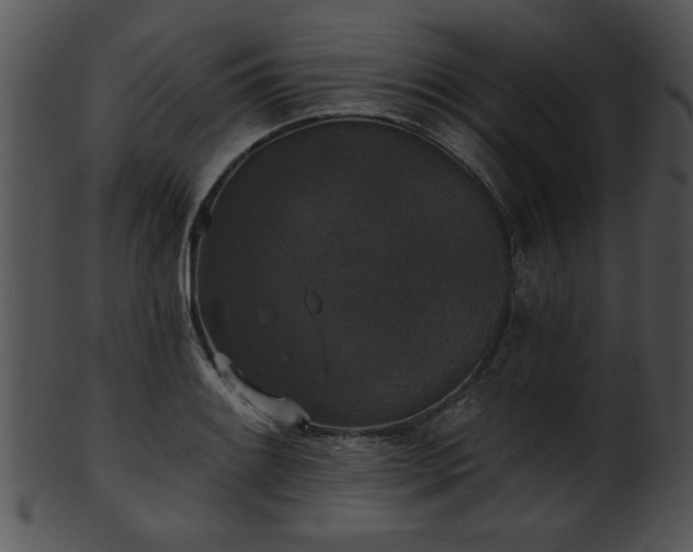 X0000101451084200807141238