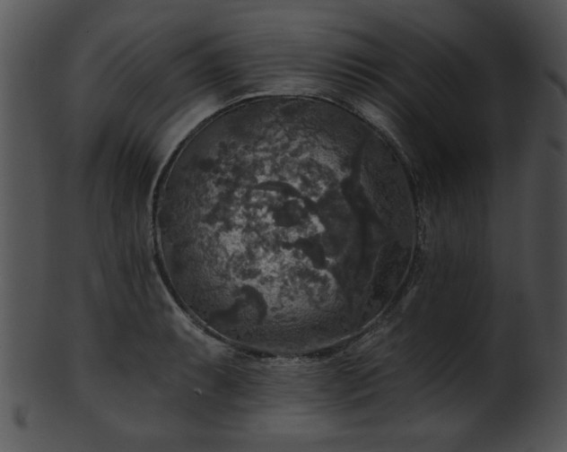 X0000101451087200807141238