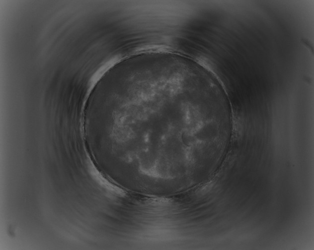 X0000101451090200807141238