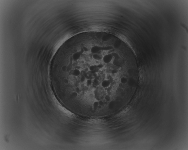 X0000101451091200807141238