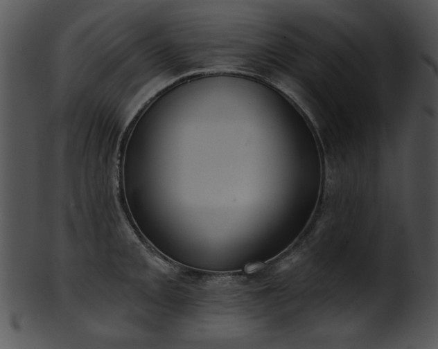 X0000101451093200807141238