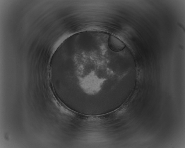 X0000101451094200807141238