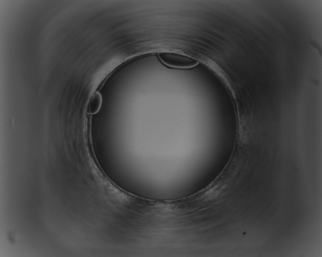 X0000101451096200807141238