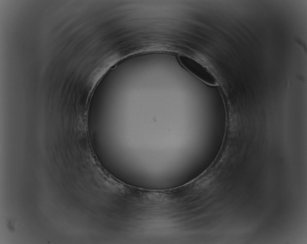 X0000101451097200807141238