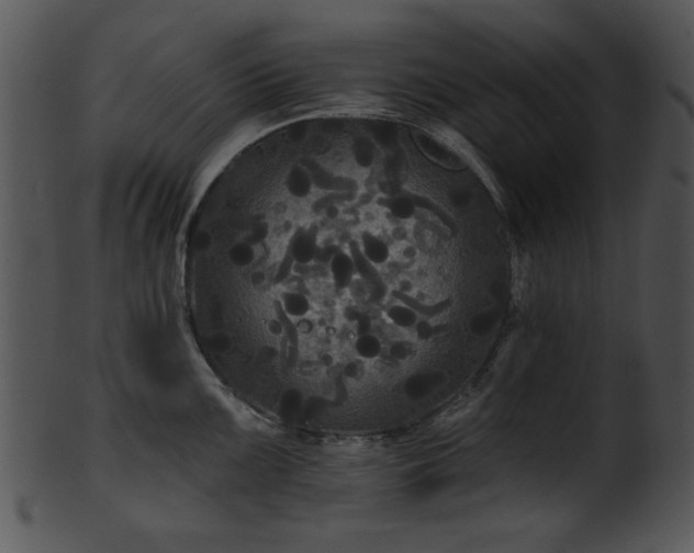 X0000101451099200807141238