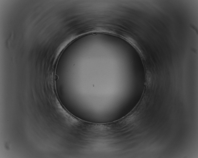 X0000101451100200807141238