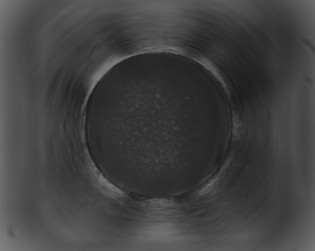 X0000101451102200807141238