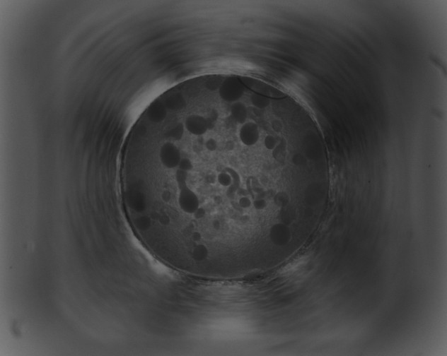 X0000101451103200807141238