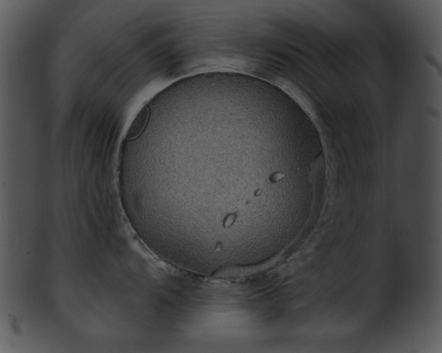 X0000101451104200807141238