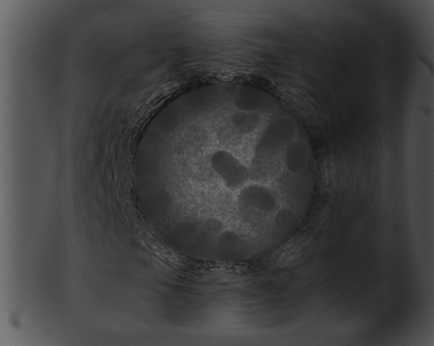 X0000101451105200807141237