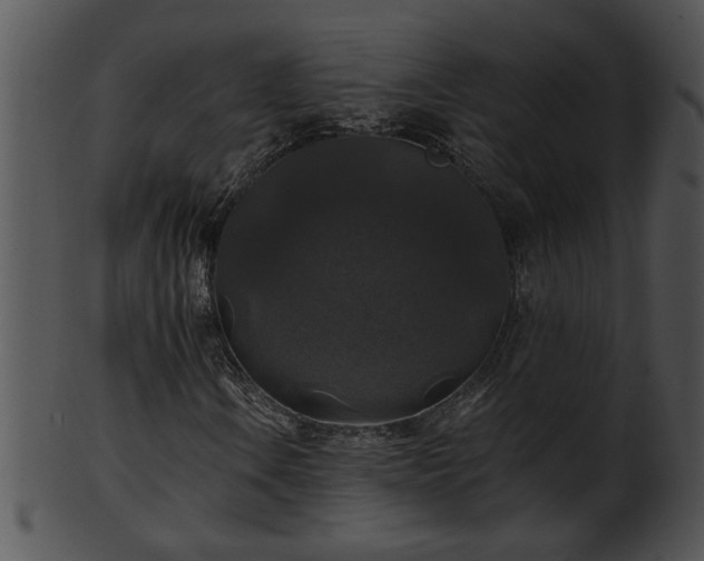 X0000101451106200807141237