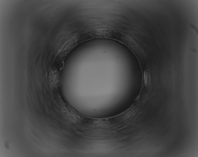 X0000101451107200807141237