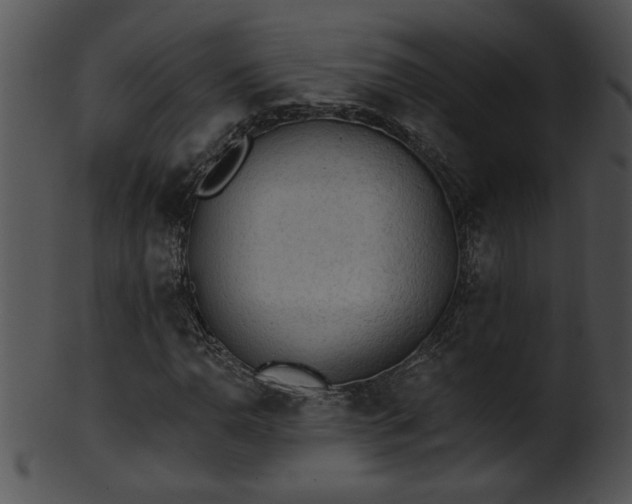 X0000101451110200807141237