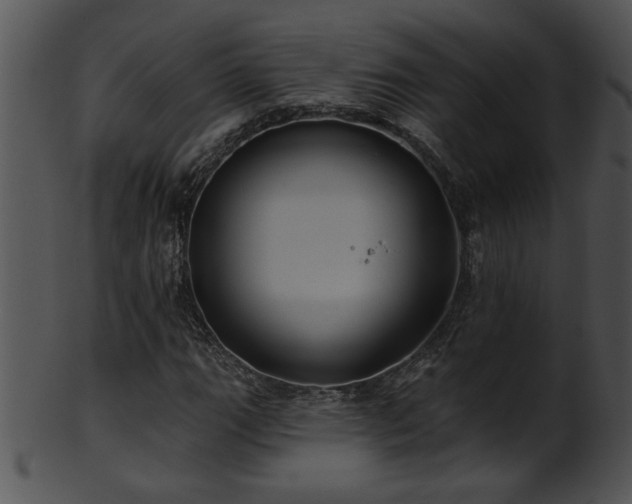 X0000101451111200807141237