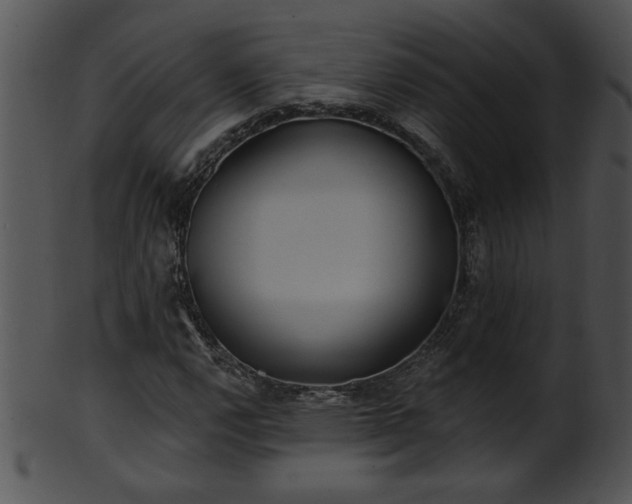 X0000101451112200807141237