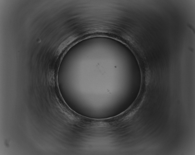 X0000101451113200807141237