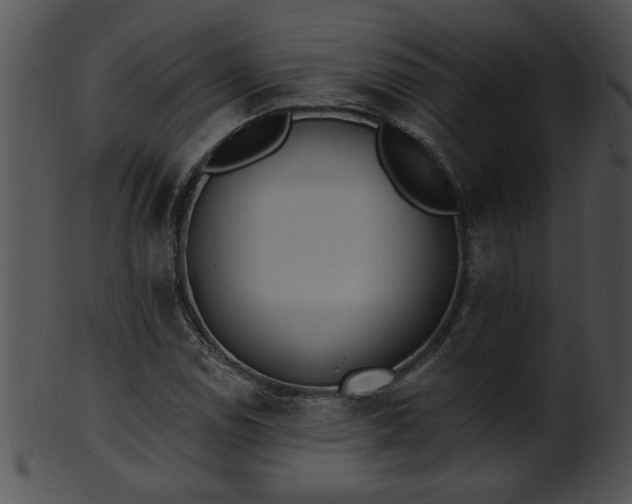 X0000101451114200807141237