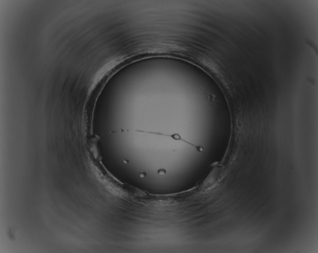 X0000101451122200807141237