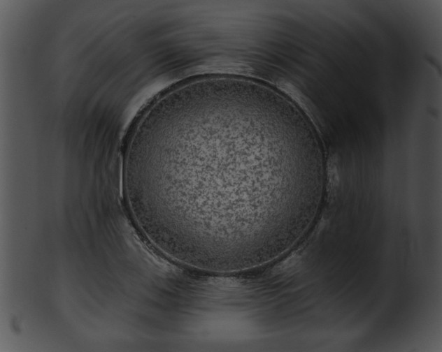 X0000101451123200807141237