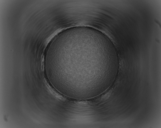 X0000101451126200807141238