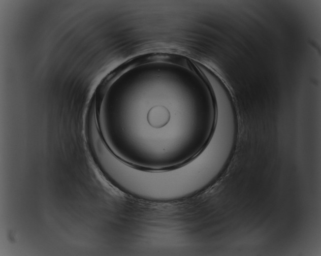 X0000101451128200807141238