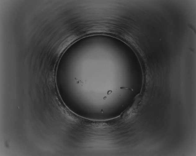 X0000101451129200807141238