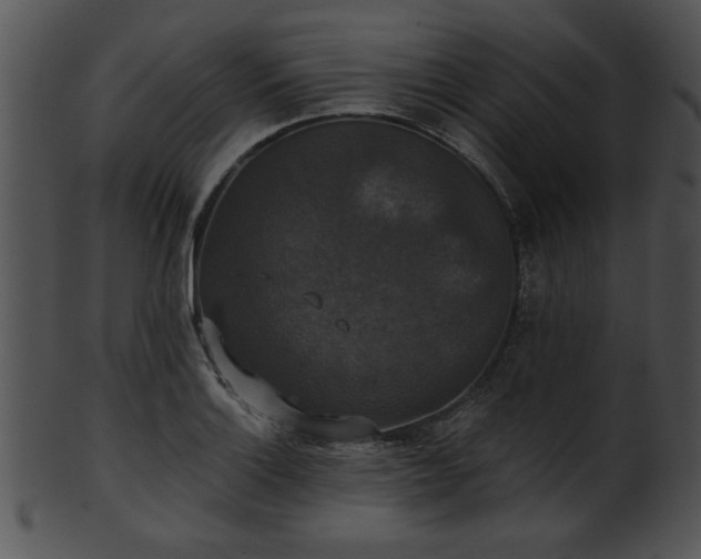 X0000101451132200807141238