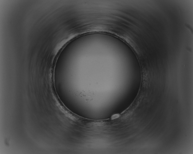 X0000101451134200807141238