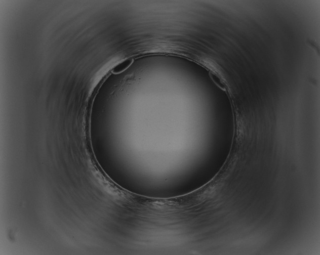 X0000101451138200807141238