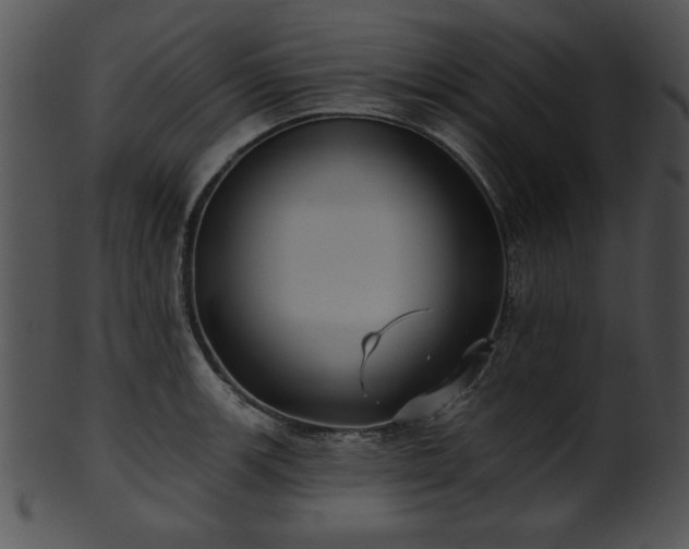 X0000101451139200807141238