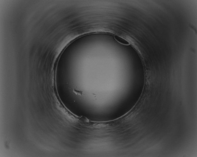 X0000101451140200807141238