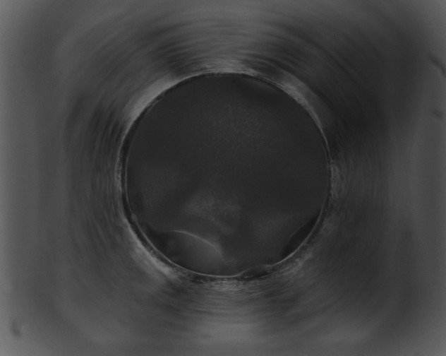 X0000101451141200807141238