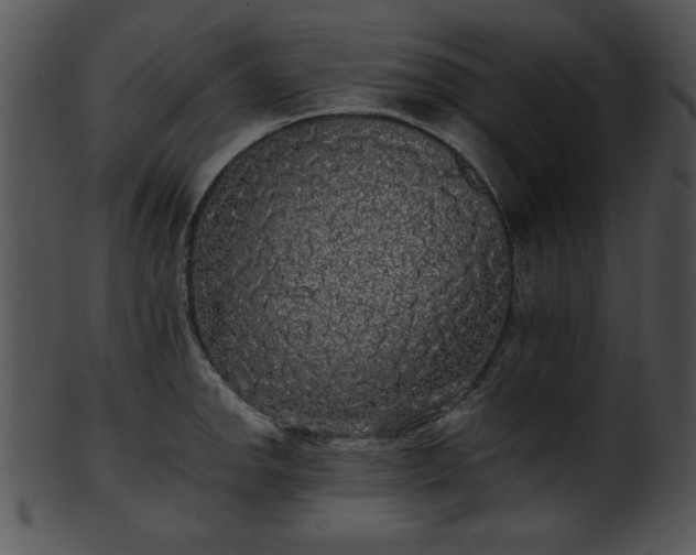 X0000101451142200807141238