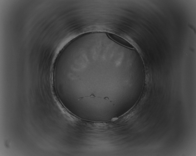 X0000101451144200807141238