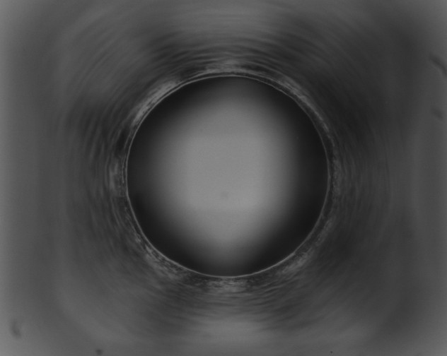 X0000101451145200807141238