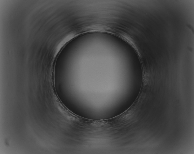 X0000101451146200807141238