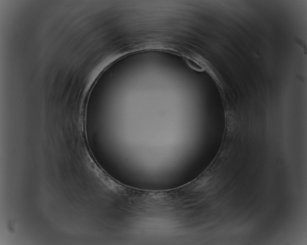 X0000101451148200807141238