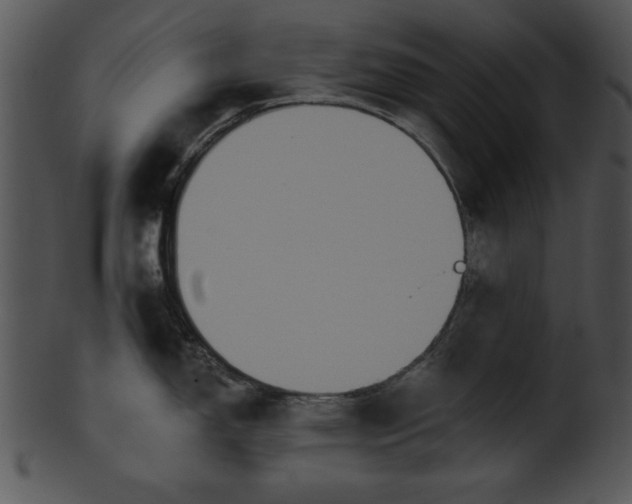 X0000101451150200807141238