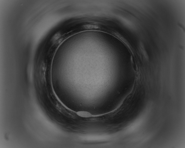 X0000101451151200807141238