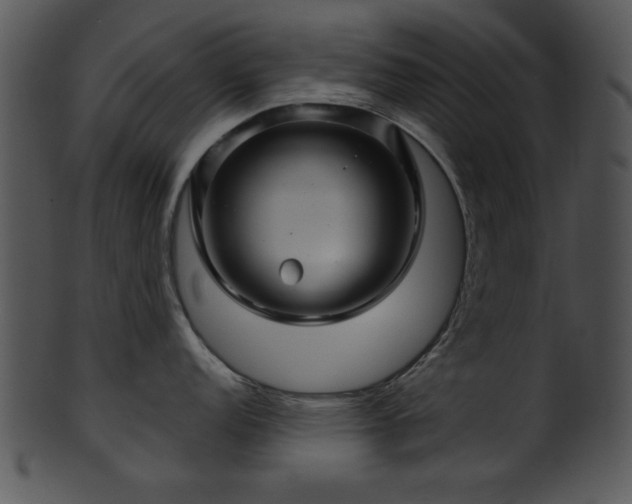 X0000101451152200807141238