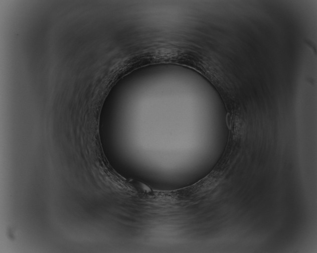 X0000101451153200807141237