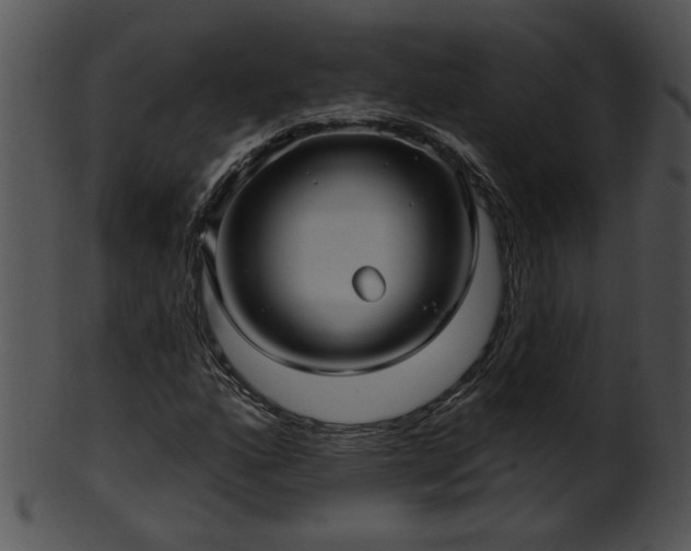 X0000101451160200807141237