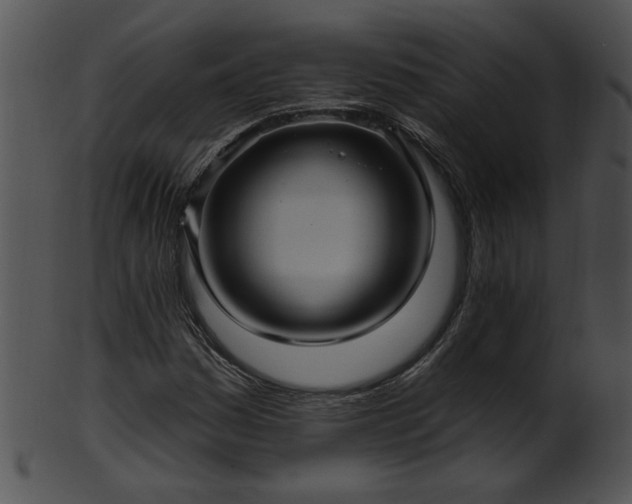 X0000101451161200807141237