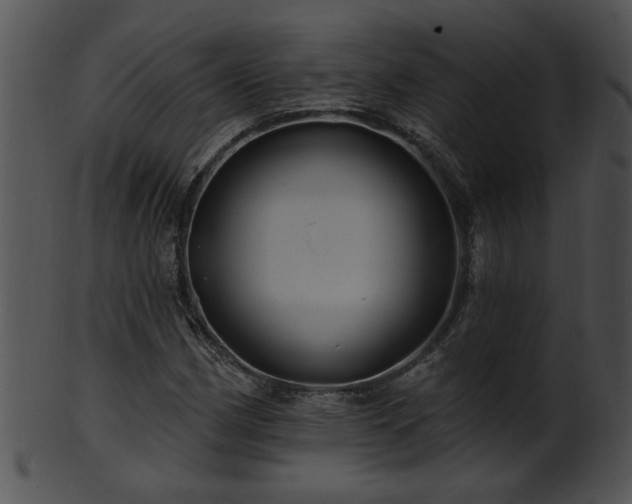 X0000101451162200807141237