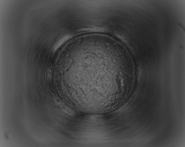 X0000101451163200807141237