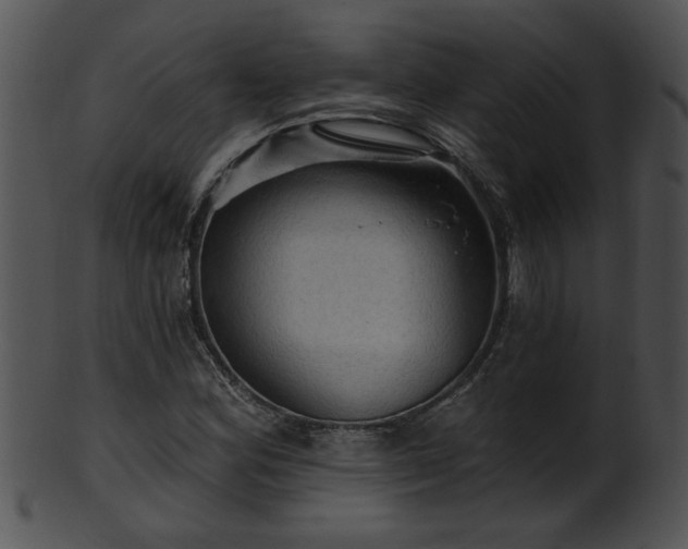 X0000101451164200807141237