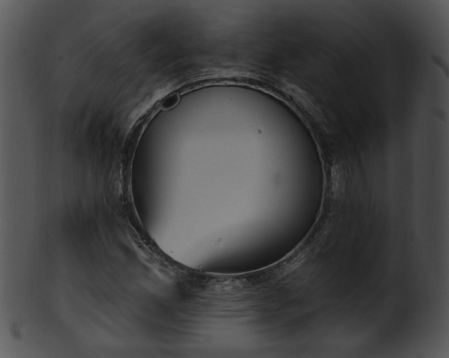 X0000101451165200807141237